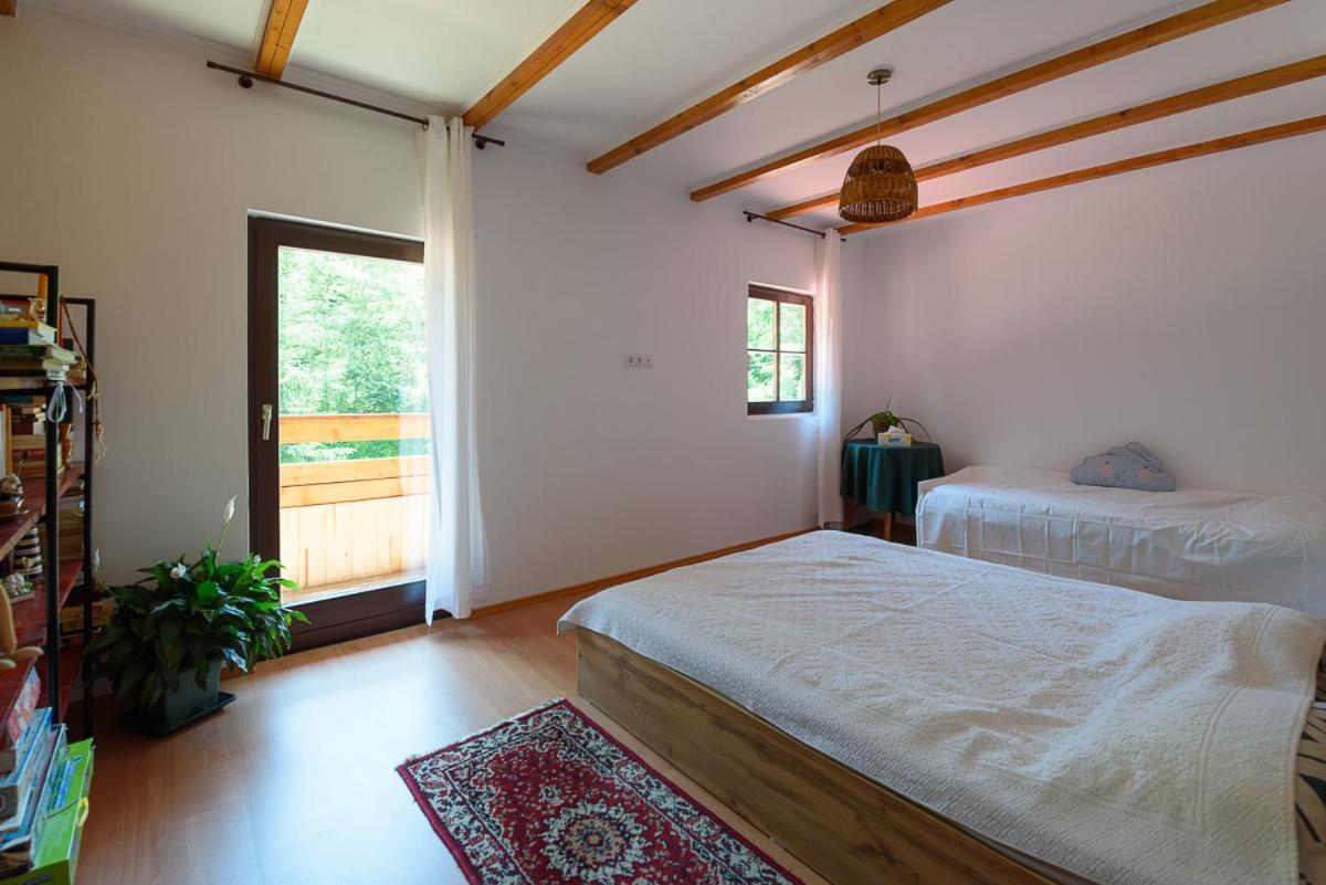 Susurul Apei Chalet Порумбаку-де-Сус Экстерьер фото