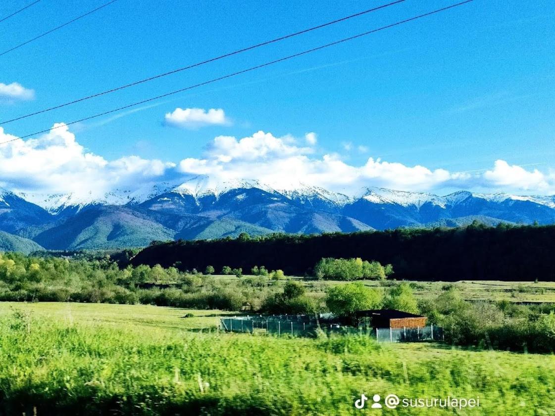 Susurul Apei Chalet Порумбаку-де-Сус Экстерьер фото