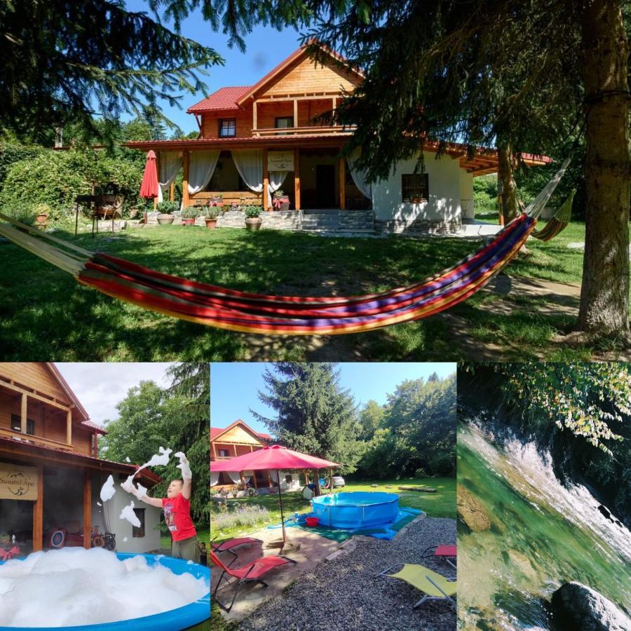 Susurul Apei Chalet Порумбаку-де-Сус Экстерьер фото