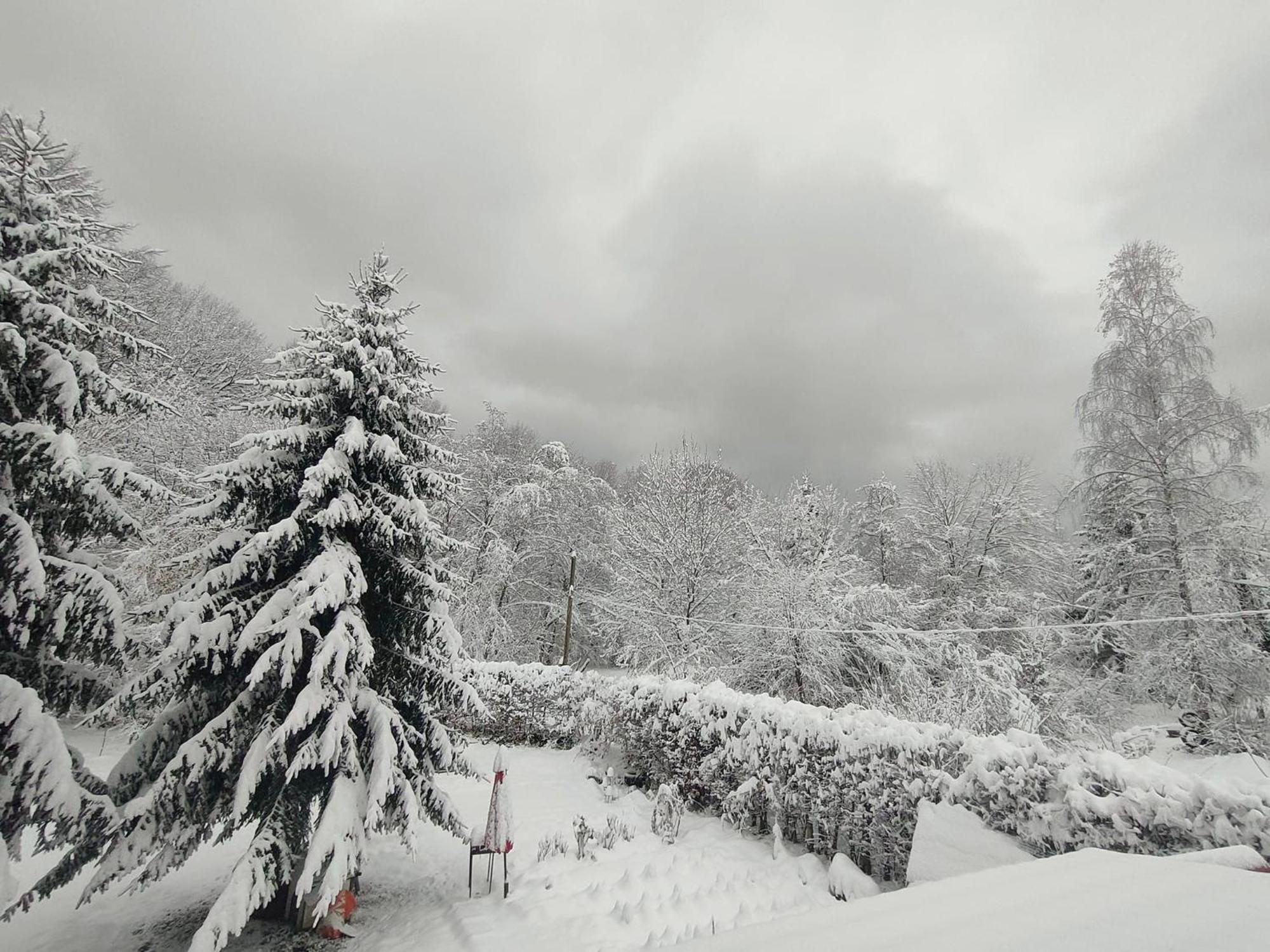 Susurul Apei Chalet Порумбаку-де-Сус Экстерьер фото